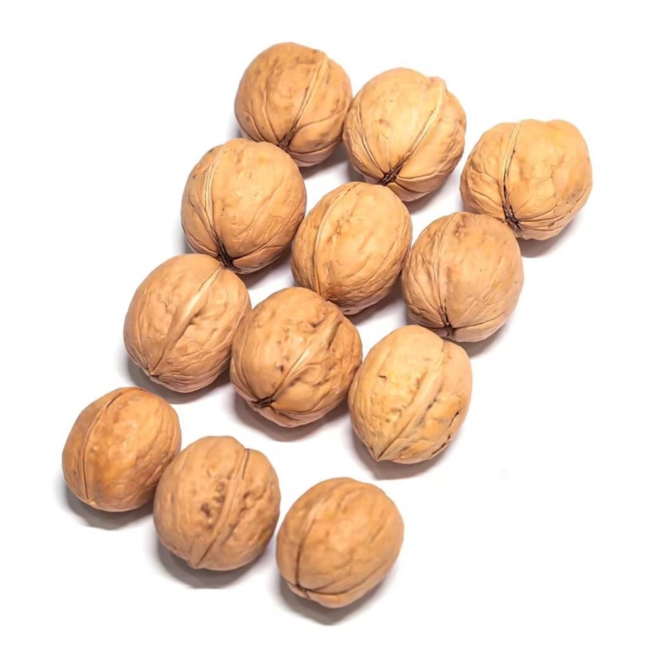 Paper Walnut